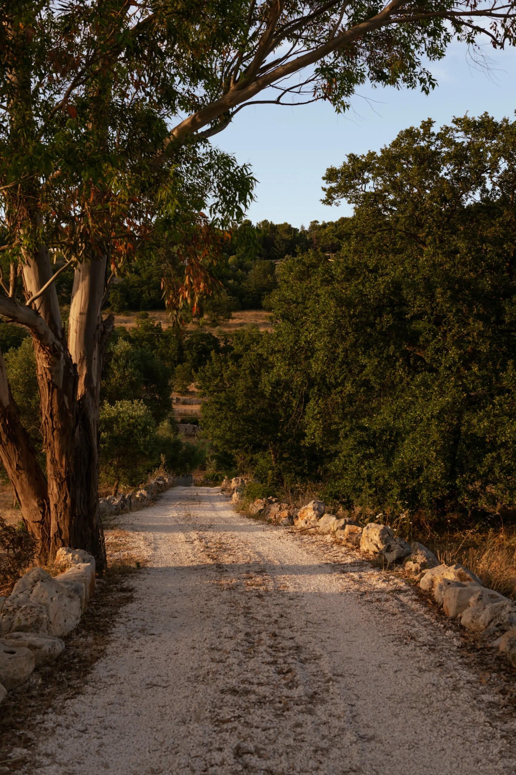 Promenades entre les murets de pierre
