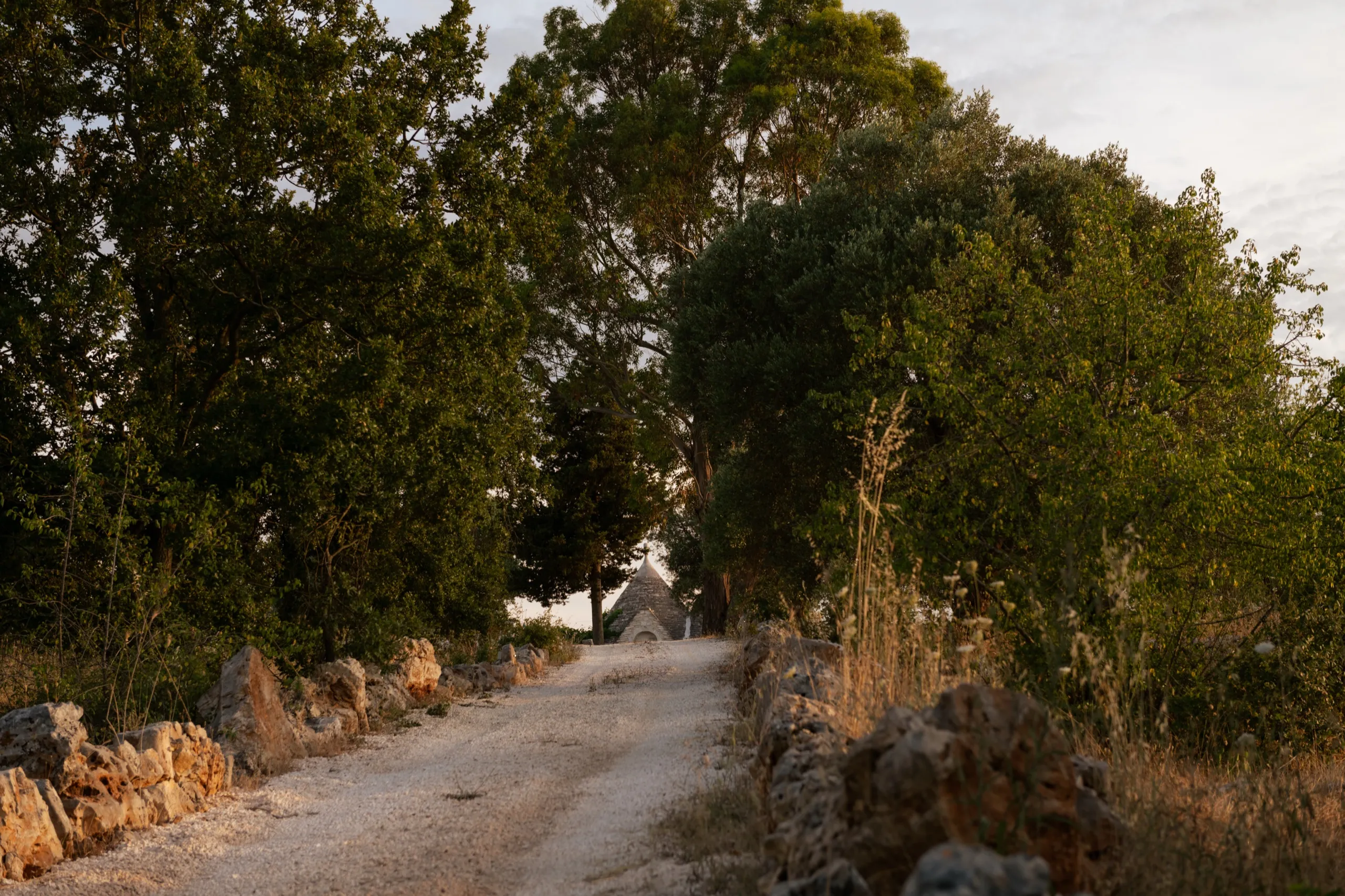 Sentier vers le trullo