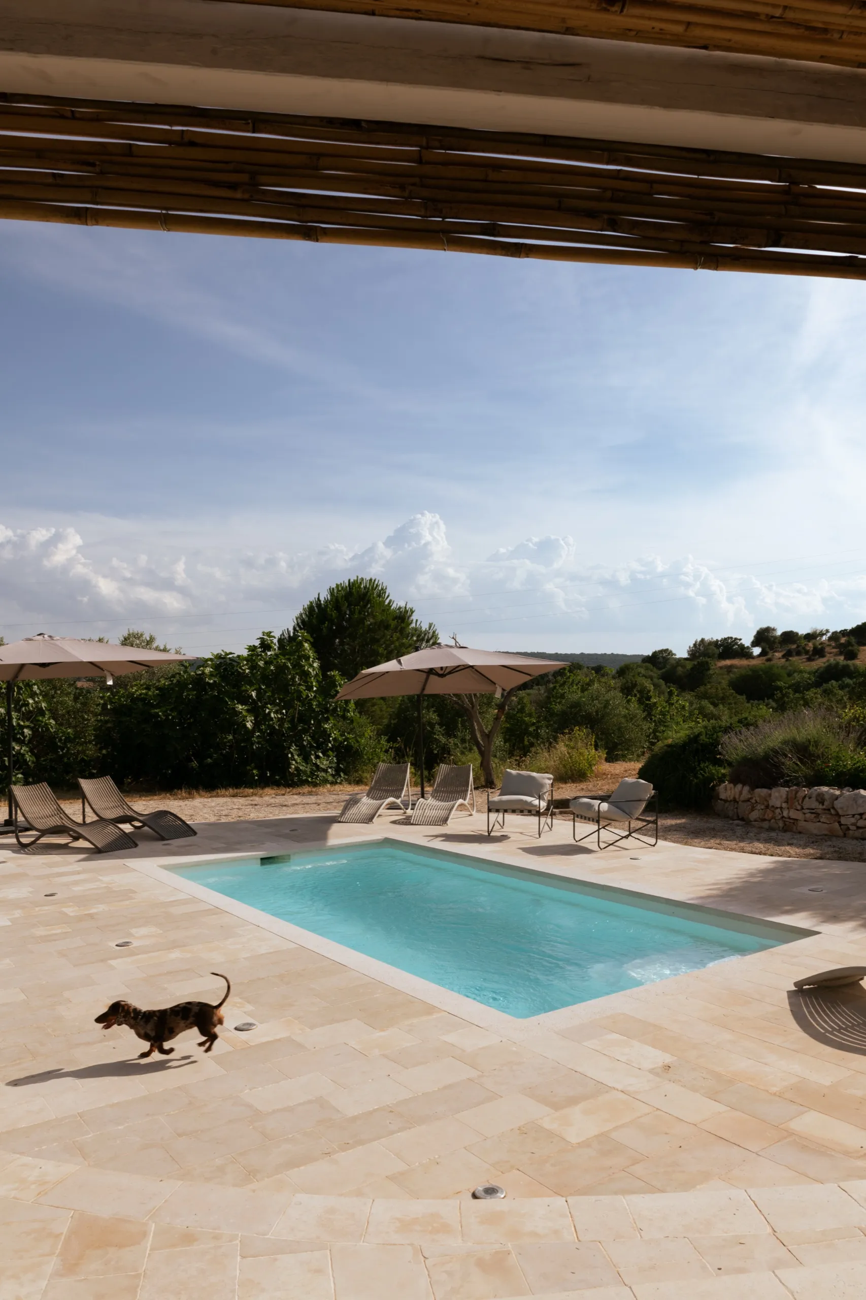 Le bassin vu depuis la pergola de bambou